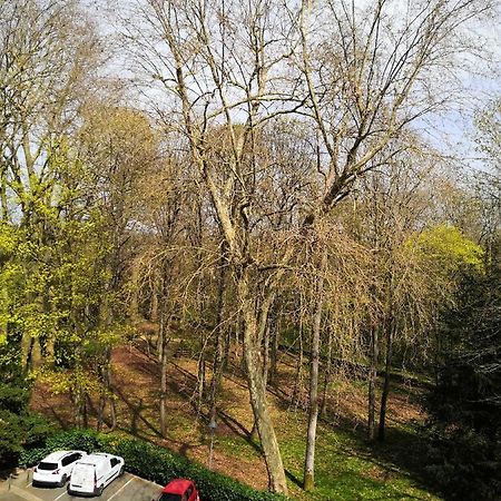 Chambre D'Hote Au Parc Des Thibaudieres Boussy-Saint-Antoine Buitenkant foto