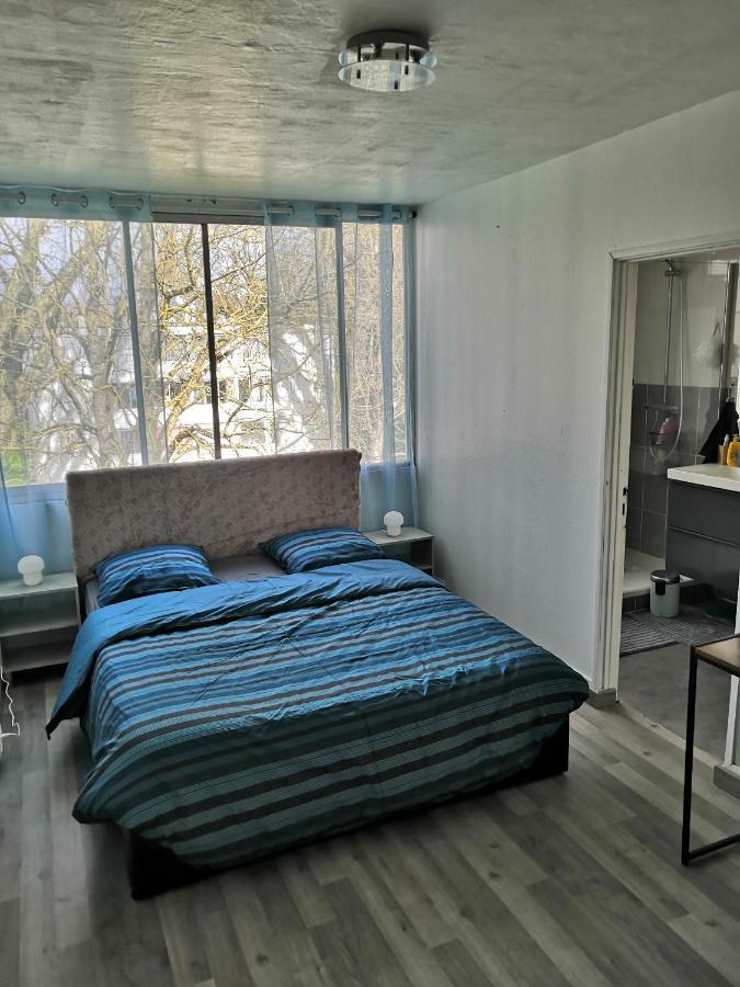 Chambre D'Hote Au Parc Des Thibaudieres Boussy-Saint-Antoine Buitenkant foto