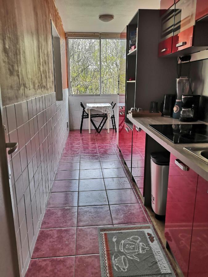Chambre D'Hote Au Parc Des Thibaudieres Boussy-Saint-Antoine Buitenkant foto